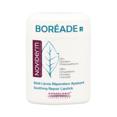 Boréade R stick reparador 11ml